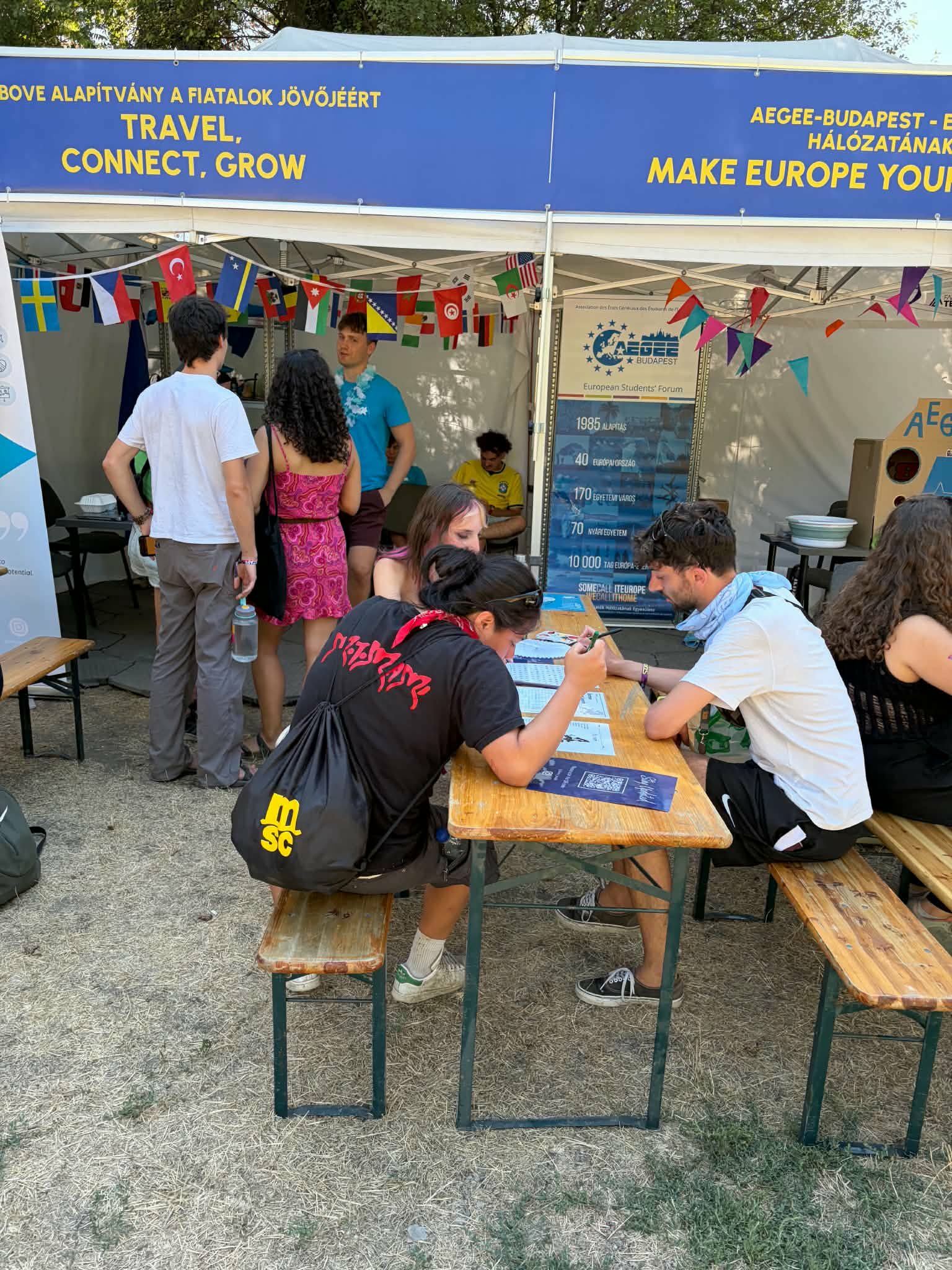 Sziget, SZIN, Művészetek Völgye 2