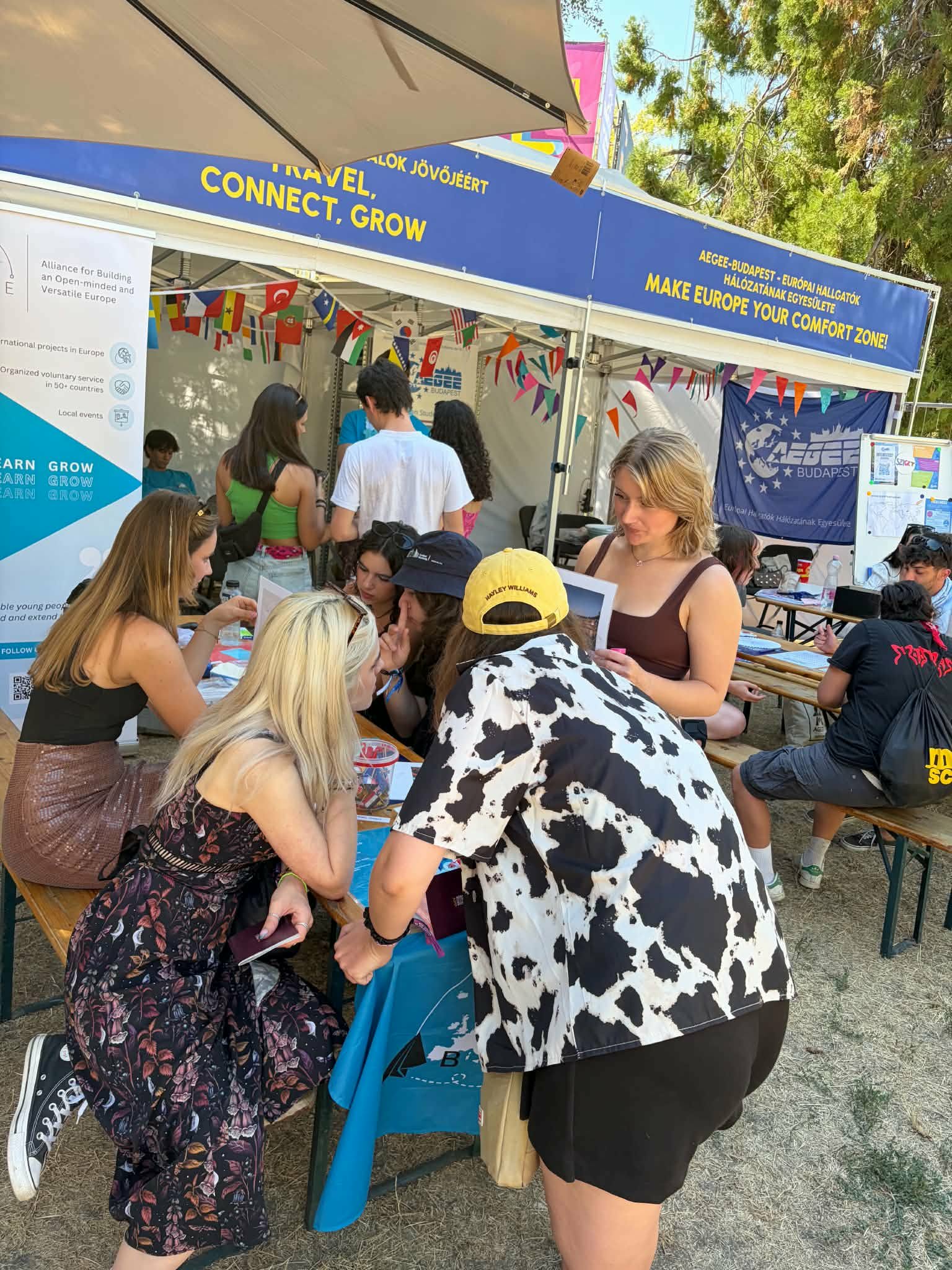 Sziget, SZIN, Művészetek Völgye 3